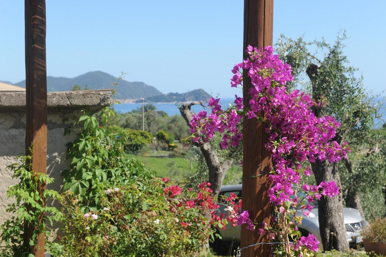 Casa Franguella - Uliveto Sul Mare Villa Lavagna Exterior photo